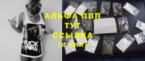 амф Алексин