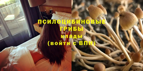 амф Алексин