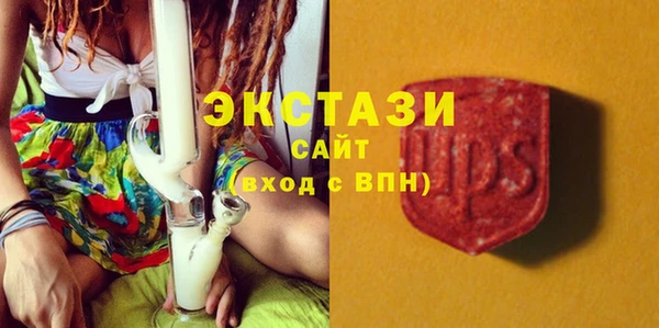 индика Нягань