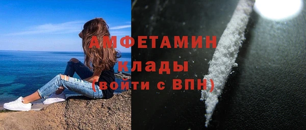 амф Алексин