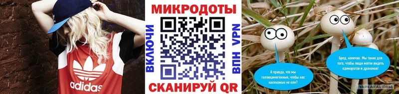 Галлюциногенные грибы Cubensis  kraken зеркало  Тогучин 