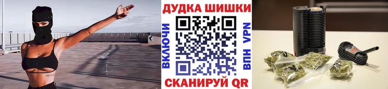 Конопля сатива  Тогучин 